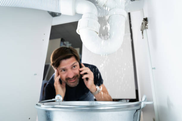 Best Plumbing Services Near Me  in Saddlebrooke, AZ