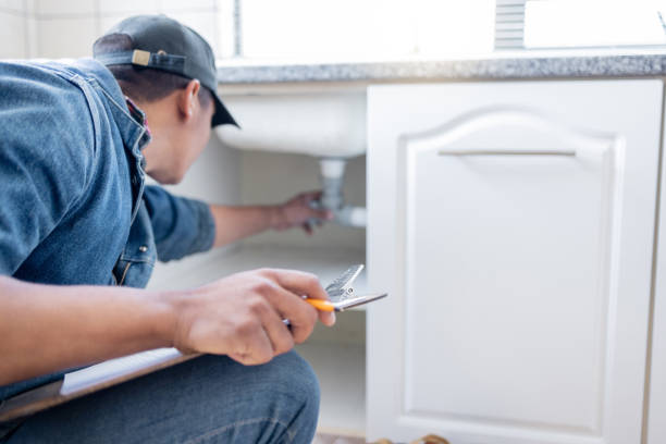 Best Plumbing Inspection Services  in Saddlebrooke, AZ